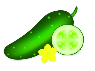 Wall Mural - A whole cucumber and a circle with a flower on a white background.