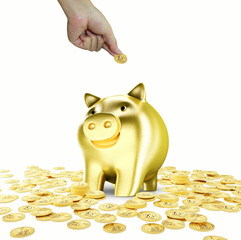 piggy bank with coins, Saving
