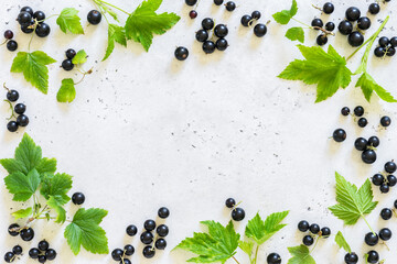 Blackcurrants and Leaves, copy space