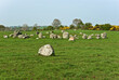 © Jane McIlroy - Ballynoe stone circle, Co Down, N Ireland, a prehistoric burial mound dating from the Neolithic period, surrounded by a circular structure of standing stones, in a rural setting.