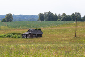 Wall Mural - summer landscapes with clouds and fields