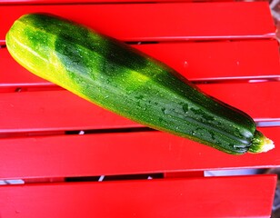 Wall Mural - eine riesen Zucchini auf einem roten oder blauen Hintergrund