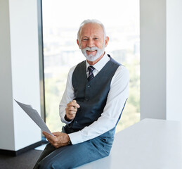 senior businessman file office work business document casual mature gray hair mature elderly man portrait