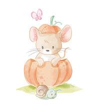 Cute Little Mouse In Pumpkin And Little Snail Illustration
