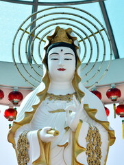 Wall Mural - Beautiful white Buddha statue at a Chinese temple