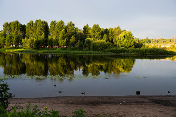 park green landscapes in summer with trees and walking paths