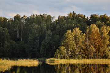 sunset at lake in a forest countryside 