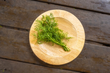 Sticker - フェンネル　ハーブ　raw Fennel (Foeniculum vulgare)