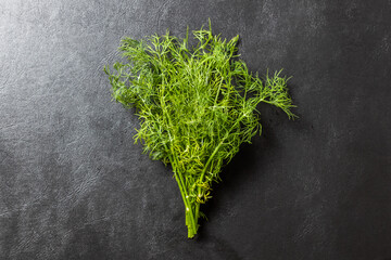 Sticker - フェンネル　ハーブ　raw Fennel (Foeniculum vulgare)