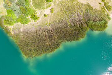 shore of a forest lake covered by reed grass. aerial view from flying drone