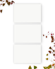 Three Interior horizontal rectangular poster mockups with autumn plant and decorations on empty white wall background. Rendering illustration.