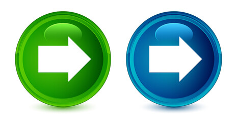 Wall Mural - Next arrow icon artistic shiny glossy blue and green round button set