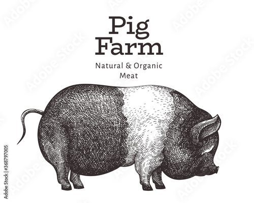 Fotomural Hand drawn farm animal illustration