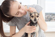 © yta - Dog therapist. Health examination of that terrier in a veterinary hospital. Girl doctor examines a pet, checks ears