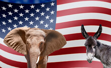 Republican Elephant And Democratic Donkey With US Flag In The Background
