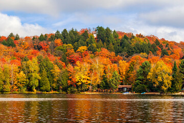 Fall colors Algonquin Park, Ontario, Canada.