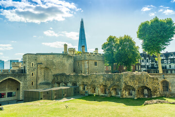 Wall Mural - A typical view in London