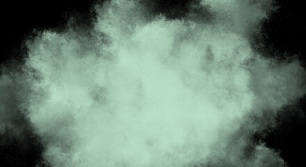 Wall Mural - Mint Fog or smoke color isolated background for effect, text or copyspace.