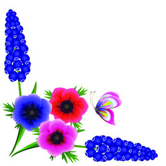 Wall Mural - Corner with hyacinths of muscarinic blue grapes and anemones with a butterfly on a white background.
