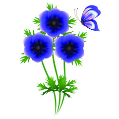 Wall Mural - A bouquet of blue anemones with a butterfly on a white background.
