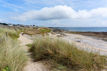 Wall Mural -   La Govelle bay in the Guerande peninsula                          