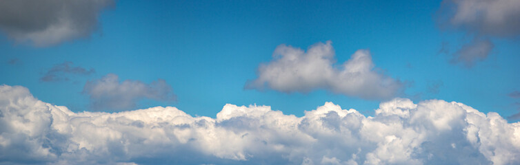 Wall Mural - white cumulus clouds against the blue sky