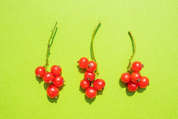 Wall Mural - Red currants on a green background. Fresh berry picking, macro photo. Organic healthy healthy vitamin food concept.