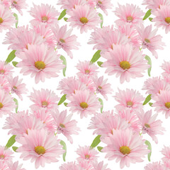 Wall Mural - Seamless floral design with pink daisy flowers for background