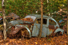 Old Abandoned Car In Autumn Colored Woods