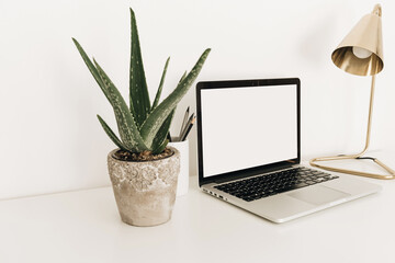 Laptop with blank copy space screen on white table with aloe plant. Minimal home office desk workspace with mockup template. Work at home concept.