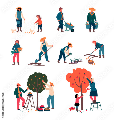Cuadros en Lienzo Autumn harvest, Harvesting people gathering crops fruits vegetables seasonal agr