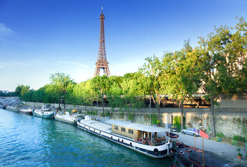 Wall Mural - view of paris with eiffel tower