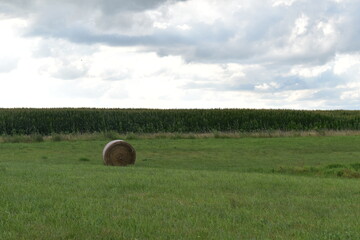 Sticker - Farm Field