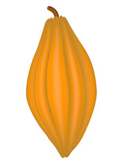 Wall Mural - Cocoa fruit on a white background.