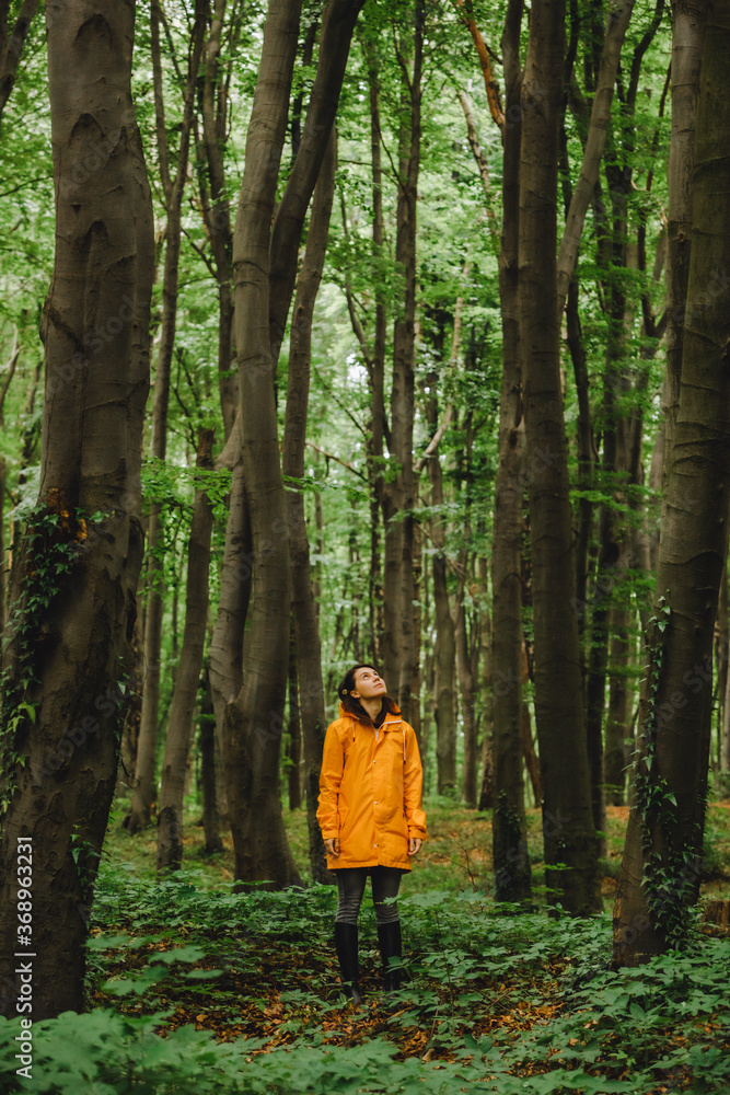 woman in yellow raincoat walking by rainy forest - obrazy, fototapety, plakaty 