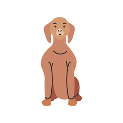 Sticker - cute pet dog on white background