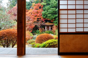 Wall Mural - Autumn scenery of a Japanese pavilion among fiery maple trees in a beautiful courtyard garden by a traditional Japanese house with sliding screen doors ( shoji ) and a wooden floor, in Kyoto, Japan