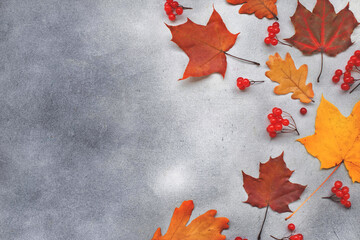 Fotomurales - Autumn Background with leaves on a dark grey concrete background. Top view.