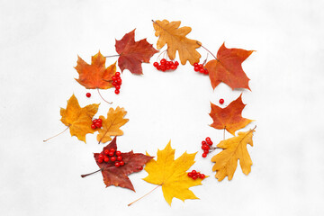 Fotomurales - Autumn Background with leaves on a white background.
