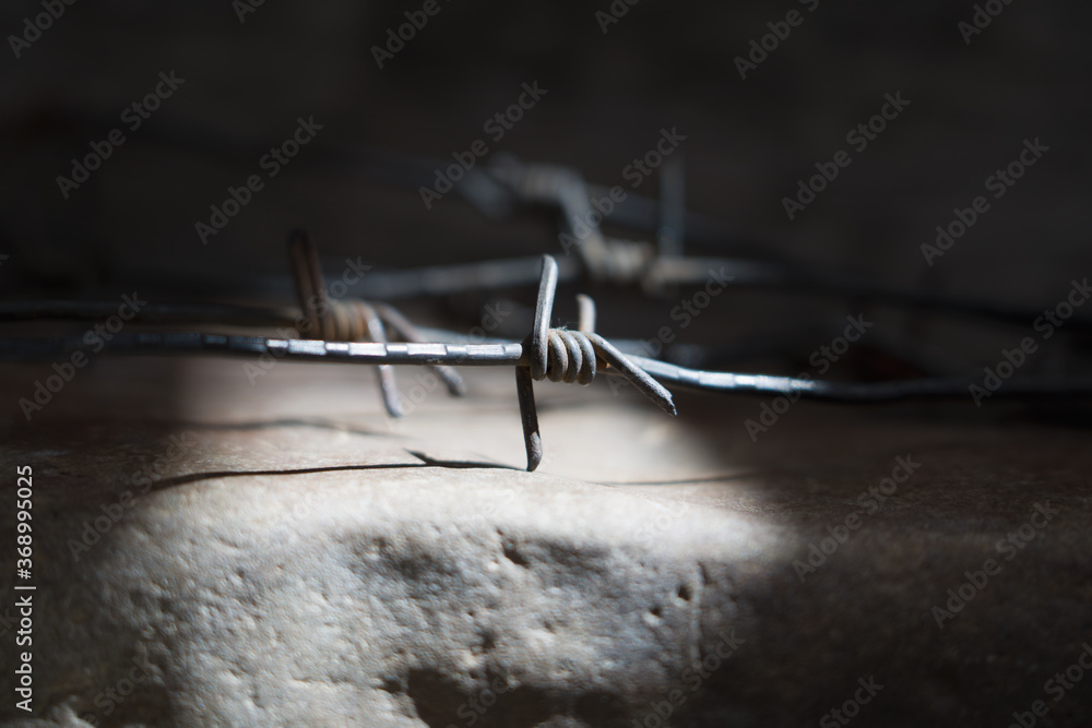 An ancient barbed wire as a symbol of imprisonment, imprisonment and repression. Horizontakl image. - obrazy, fototapety, plakaty 