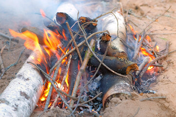 Burning bonfire in forest camping with woods and burning birch in fire. Fireplace on nature in sand from natural eco materials. Smoke from burning branches. Beautiful orange flames.