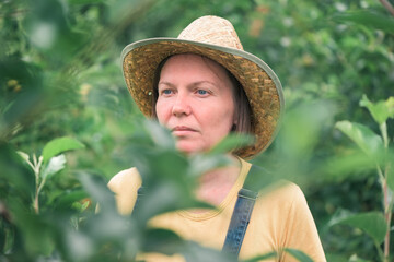 Wall Mural - Portrait of female farmer posing in apple fruit orchard