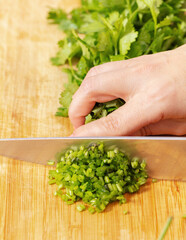 Poster - Cook chopped green coriander