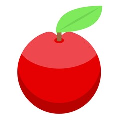 Wall Mural - Inclusive education red apple icon. Isometric of inclusive education red apple vector icon for web design isolated on white background