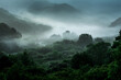 © Chongbum Thomas Park - The wonderful and beautiful secret garden,the wave of misty sea float in the valley covered with forest at dawn.