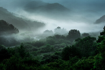 the wonderful and beautiful secret garden,the wave of misty sea float in the valley covered with for