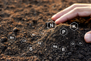 Wall Mural - Soil texture background, Fertile loam soil suitable for planting.