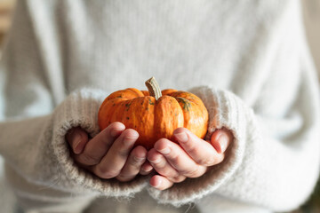 Wall Mural - Woman with white wool sweater holding a orange pumpkin