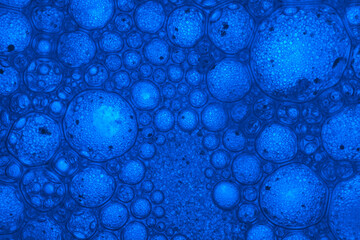 Aufkleber - Beautiful abstract blue bubbles in water extreme. Abstract nature pattrn for design. Macro photogrpaphy view.