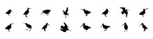 A Set Of Common Snipe Drum Silhouettes. Vector Illustration